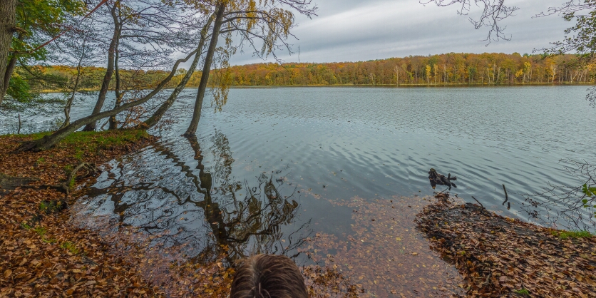 Usedom_Wolgastsee