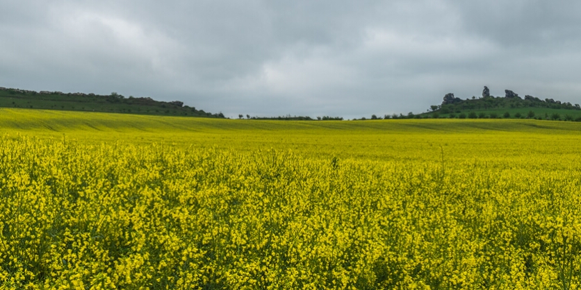 20140502-130749-6412-Bearbeitet Panorama