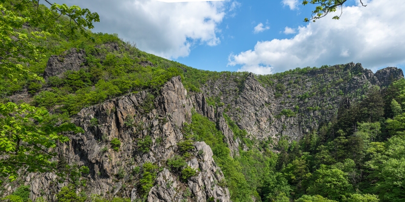 20140503-130735-6560-Bearbeitet Panorama