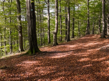 10 diverse Wanderungen