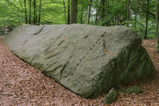 Lange Steine am Stoppelsberg