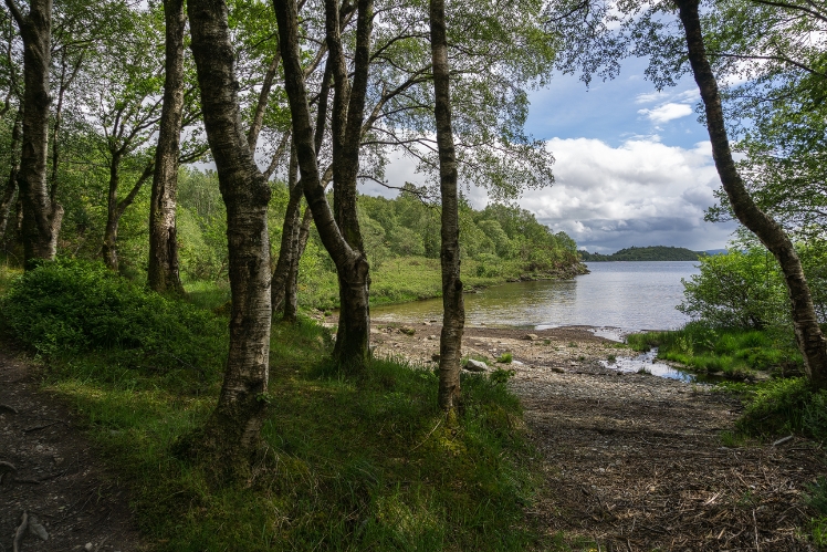 Am Loch Lomond auf dem West Highland Way https://de.wikipedia.org/wiki/West_Highland_Way