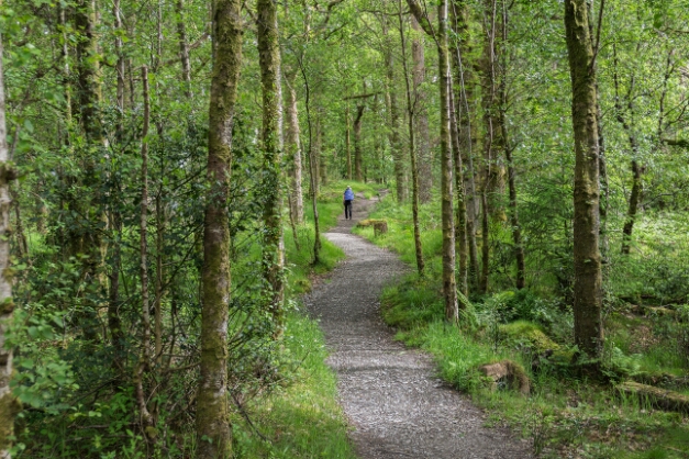 Am Loch Lomond auf dem West Highland Way https://de.wikipedia.org/wiki/West_Highland_Way