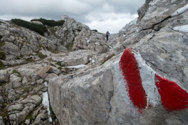 zwischen Gjaid Alm und Guttenberghaus