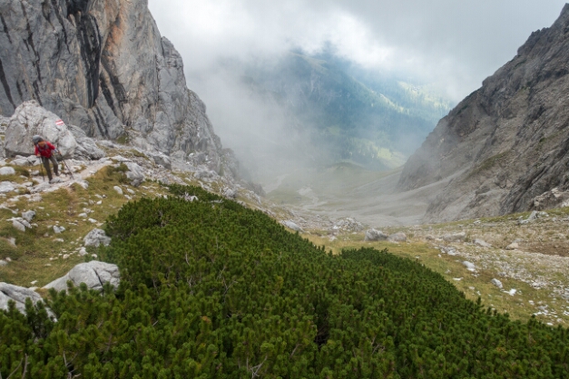 am Tor (206m)