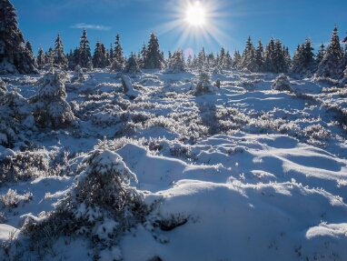 01 Harz-Auf dem Acker
