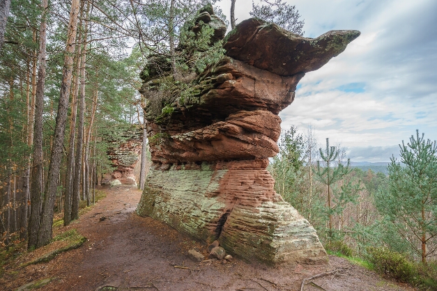 Lämmerfelsen bei Dahn