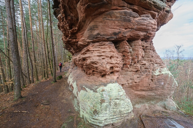 Lämmerfelsen bei Dahn