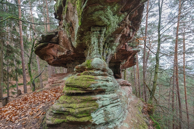 Lämmerfelsen bei Dahn