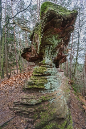 Lämmerfelsen bei Dahn