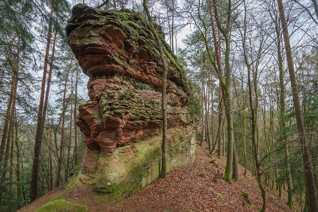 Lämmerfelsen bei Dahn