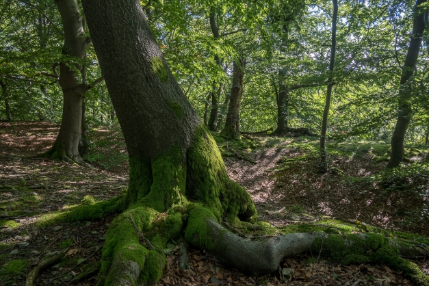 20170917-125106-16356-HDR