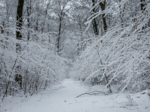 01 Deister im Schnee