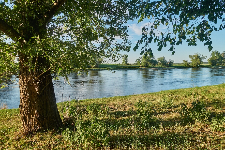 20180513-192945-16807