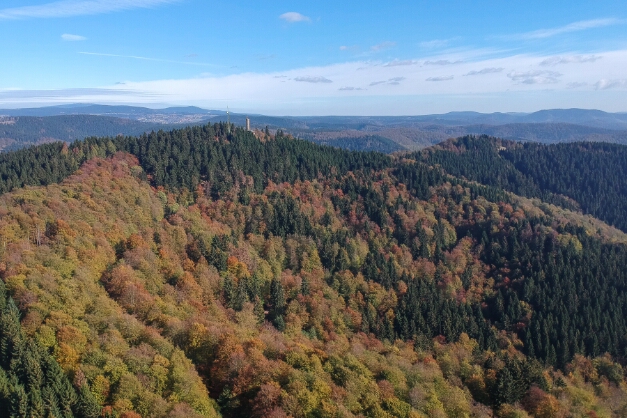 10 Herbst im Harz