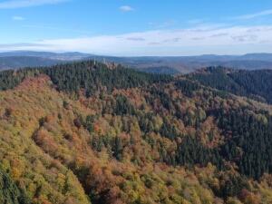 10 Herbst im Harz