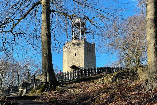 12 Lichtenberg