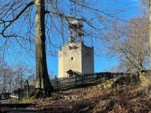 12 Lichtenberg