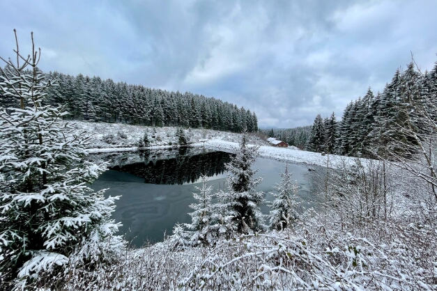 Oberer Kellerhalsteich nähe Kreuzeck im Harz