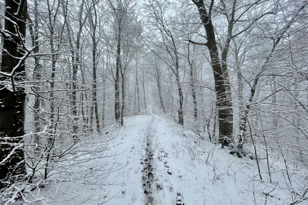 Lerchenberg bei Hildesheim