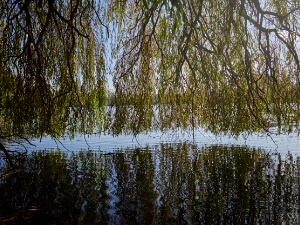 11 Döhrener Wasser