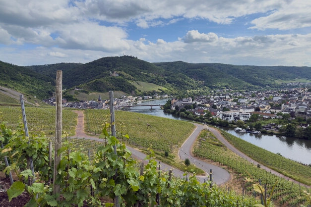 IMG_2453 Weinberge bei Bernkastel-Kues