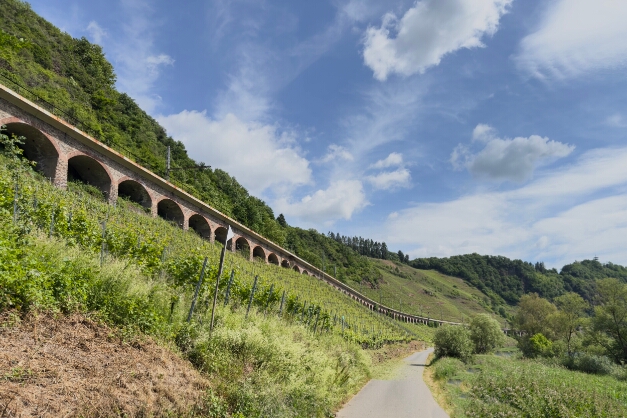 IMG_2480 Bahnviadukt bei Pünderich