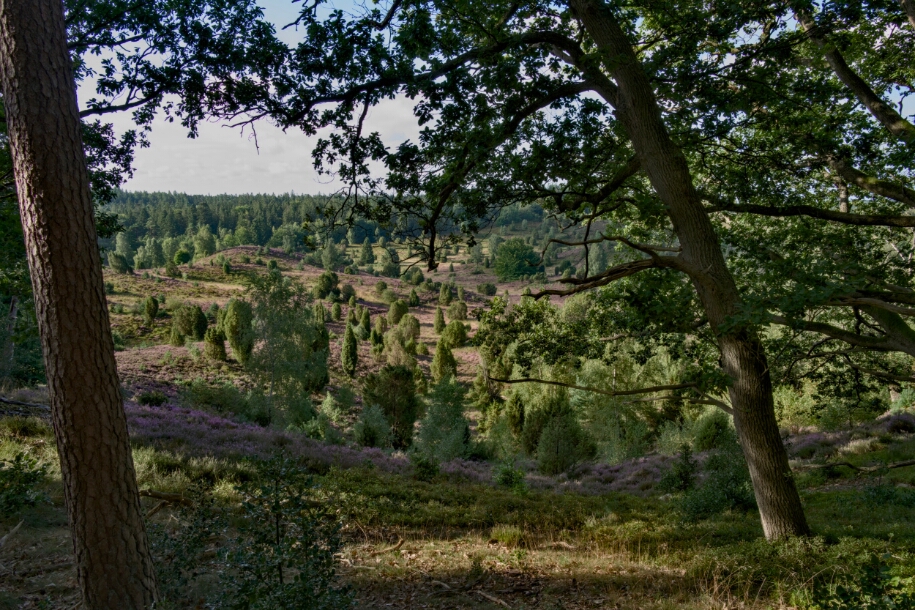 L1010523
