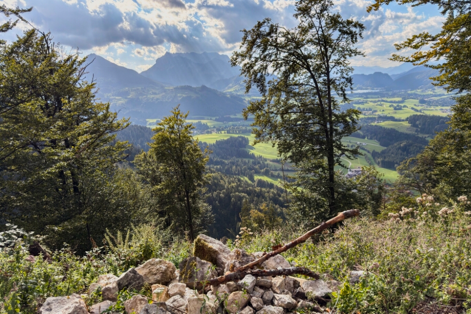 IMG_8906 Unterberg https://www.reitimwinkl.de/unterberg-mountainbike