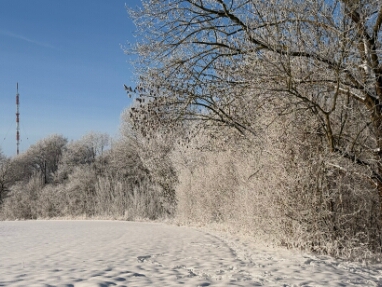 01 Winterwanderung Döhren-Wettbergen