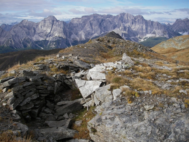 2006